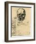 Anatomical Sketch of a Human Skull, C1472-1519-Leonardo da Vinci-Framed Giclee Print