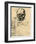 Anatomical Sketch of a Human Skull, C1472-1519-Leonardo da Vinci-Framed Giclee Print