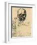 Anatomical Sketch of a Human Skull, C1472-1519-Leonardo da Vinci-Framed Giclee Print