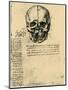 Anatomical Sketch of a Human Skull, C1472-1519-Leonardo da Vinci-Mounted Giclee Print