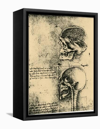 Anatomical Sketch; Two Studies of a Human Skull, C1489-Leonardo da Vinci-Framed Stretched Canvas