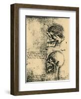 Anatomical Sketch; Two Studies of a Human Skull, C1489-Leonardo da Vinci-Framed Giclee Print