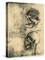 Anatomical Sketch; Two Studies of a Human Skull, C1489-Leonardo da Vinci-Stretched Canvas