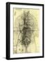 Anatomical Structure-Leonardo da Vinci-Framed Giclee Print