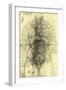 Anatomical Structure-Leonardo da Vinci-Framed Giclee Print