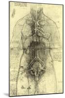 Anatomical Structure-Leonardo da Vinci-Mounted Giclee Print