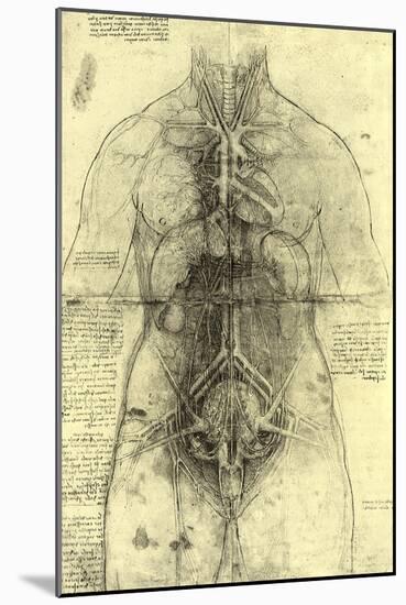 Anatomical Structure-Leonardo da Vinci-Mounted Giclee Print