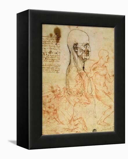 Anatomical Studies, circa 1500-07-Leonardo da Vinci-Framed Stretched Canvas