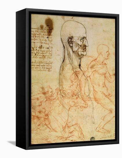 Anatomical Studies, circa 1500-07-Leonardo da Vinci-Framed Stretched Canvas