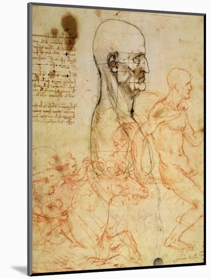 Anatomical Studies, circa 1500-07-Leonardo da Vinci-Mounted Giclee Print