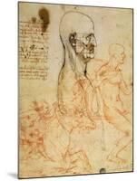 Anatomical Studies, circa 1500-07-Leonardo da Vinci-Mounted Giclee Print
