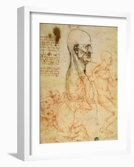 Anatomical Studies, circa 1500-07-Leonardo da Vinci-Framed Giclee Print