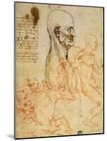 Anatomical Studies, circa 1500-07-Leonardo da Vinci-Mounted Giclee Print