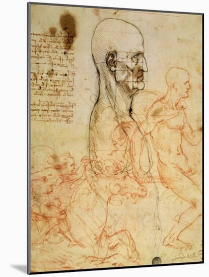 Anatomical Studies, circa 1500-07-Leonardo da Vinci-Mounted Giclee Print