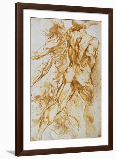 Anatomical Studies: Nudes in Combat-Peter Paul Rubens-Framed Premium Giclee Print