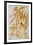 Anatomical Studies: Nudes in Combat-Peter Paul Rubens-Framed Premium Giclee Print