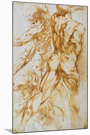 Anatomical Studies: Nudes in Combat-Peter Paul Rubens-Mounted Premium Giclee Print
