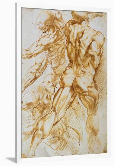 Anatomical Studies: Nudes in Combat-Peter Paul Rubens-Framed Giclee Print