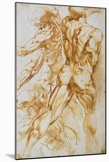 Anatomical Studies: Nudes in Combat-Peter Paul Rubens-Mounted Giclee Print