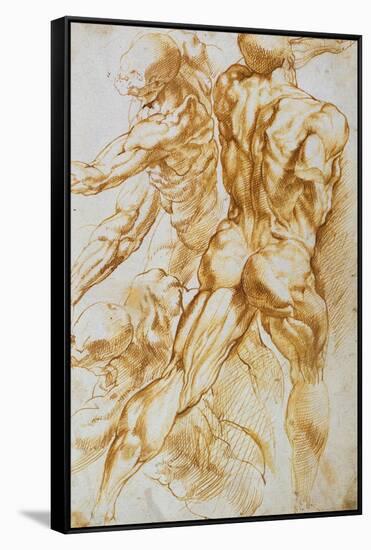 Anatomical Studies: Nudes in Combat-Peter Paul Rubens-Framed Stretched Canvas