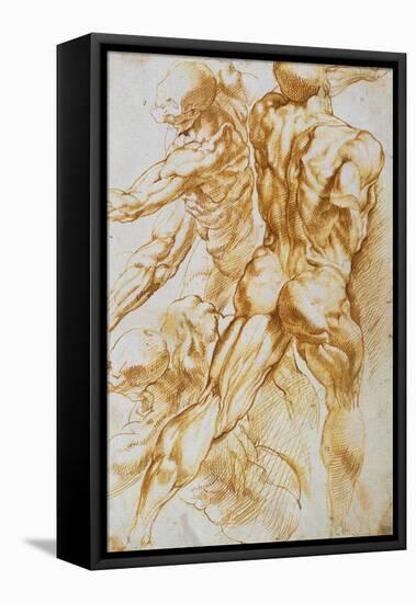 Anatomical Studies: Nudes in Combat-Peter Paul Rubens-Framed Stretched Canvas