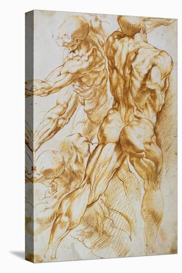 Anatomical Studies: Nudes in Combat-Peter Paul Rubens-Stretched Canvas