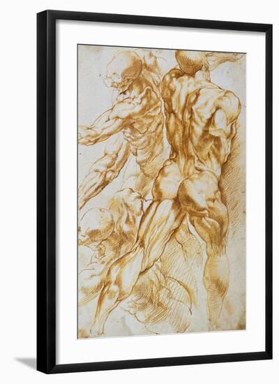 Anatomical Studies: Nudes in Combat-Peter Paul Rubens-Framed Giclee Print