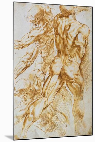 Anatomical Studies: Nudes in Combat-Peter Paul Rubens-Mounted Giclee Print