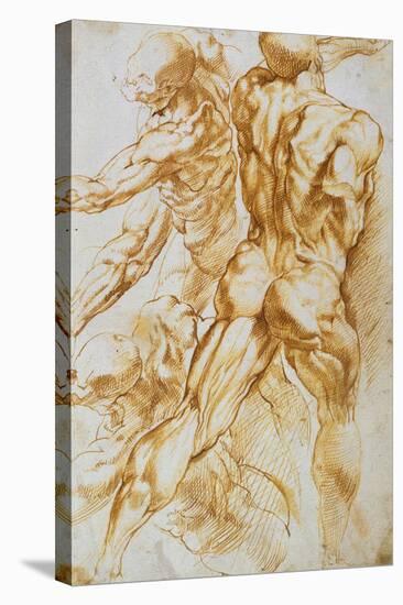 Anatomical Studies: Nudes in Combat-Peter Paul Rubens-Stretched Canvas