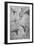 'Anatomical Studies of a Man's Neck and Shoulders', c1480 (1945)-Leonardo Da Vinci-Framed Giclee Print