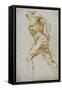 Anatomical Study: a Nude Striding to the Right His Hands Behind His Back-Peter Paul Rubens-Framed Stretched Canvas