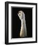 Anatomical Study for Realization of Marble Sculptures, Detail of Forearm and Hand Holding Sphere-null-Framed Giclee Print