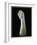 Anatomical Study for Realization of Marble Sculptures, Detail of Forearm and Hand Holding Sphere-null-Framed Giclee Print