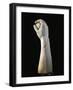 Anatomical Study for Realization of Marble Sculptures, Detail of Forearm and Hand Holding Sphere-null-Framed Giclee Print