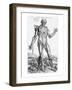 Anatomical Study, Illustration from "De Humani Corporis Fabrica", 1543-Andreas Vesalius-Framed Premium Giclee Print