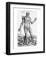 Anatomical Study, Illustration from "De Humani Corporis Fabrica", 1543-Andreas Vesalius-Framed Premium Giclee Print