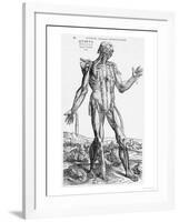 Anatomical Study, Illustration from "De Humani Corporis Fabrica", 1543-Andreas Vesalius-Framed Giclee Print