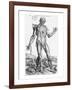 Anatomical Study, Illustration from "De Humani Corporis Fabrica", 1543-Andreas Vesalius-Framed Giclee Print