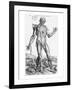 Anatomical Study, Illustration from "De Humani Corporis Fabrica", 1543-Andreas Vesalius-Framed Giclee Print