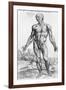 Anatomical Study, Illustration from "De Humani Corporis Fabrica", 1543-Andreas Vesalius-Framed Giclee Print