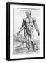 Anatomical Study, Illustration from "De Humani Corporis Fabrica", 1543-Andreas Vesalius-Framed Giclee Print