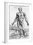 Anatomical Study, Illustration from "De Humani Corporis Fabrica", 1543-Andreas Vesalius-Framed Giclee Print