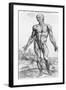 Anatomical Study, Illustration from "De Humani Corporis Fabrica", 1543-Andreas Vesalius-Framed Giclee Print