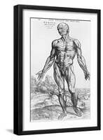 Anatomical Study, Illustration from "De Humani Corporis Fabrica", 1543-Andreas Vesalius-Framed Premium Giclee Print