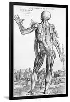 Anatomical Study, Illustration from "De Humani Corporis Fabrica", 1543-Andreas Vesalius-Framed Giclee Print