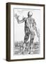 Anatomical Study, Illustration from "De Humani Corporis Fabrica", 1543-Andreas Vesalius-Framed Premium Giclee Print