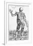 Anatomical Study, Illustration from "De Humani Corporis Fabrica", 1543-Andreas Vesalius-Framed Giclee Print