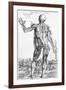 Anatomical Study, Illustration from "De Humani Corporis Fabrica", 1543-Andreas Vesalius-Framed Giclee Print