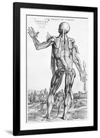 Anatomical Study, Illustration from "De Humani Corporis Fabrica", 1543-Andreas Vesalius-Framed Giclee Print