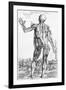 Anatomical Study, Illustration from "De Humani Corporis Fabrica", 1543-Andreas Vesalius-Framed Premium Giclee Print